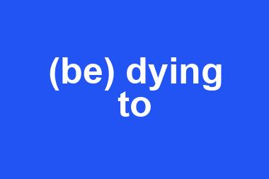 (be) dying to