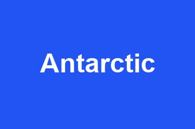 Antarctic