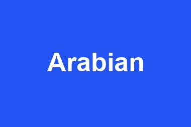 Arabian