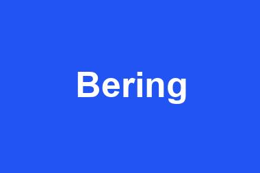 Bering