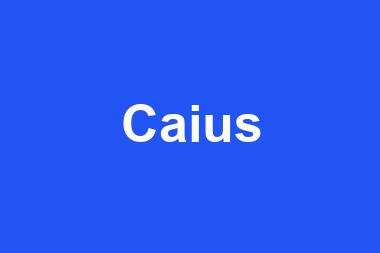 Caius