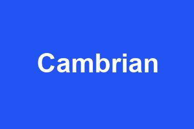 Cambrian