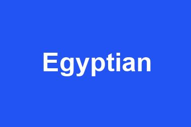 Egyptian