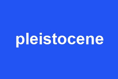 pleistocene