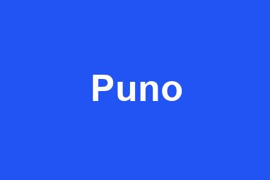 Puno