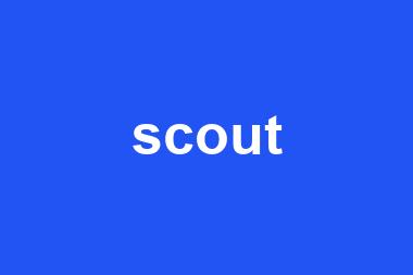 scout