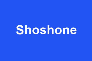 Shoshone