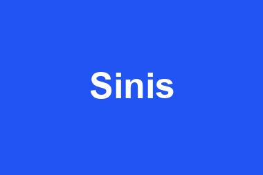 Sinis