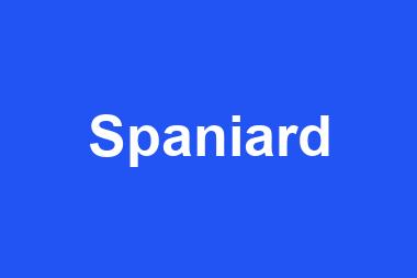 Spaniard