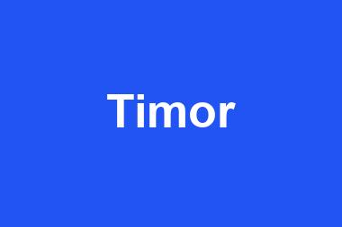 Timor