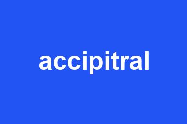 accipitral