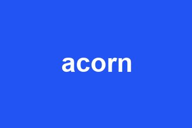 acorn