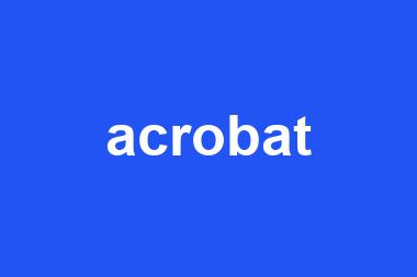 acrobat