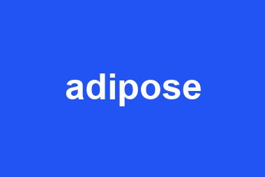 adipose