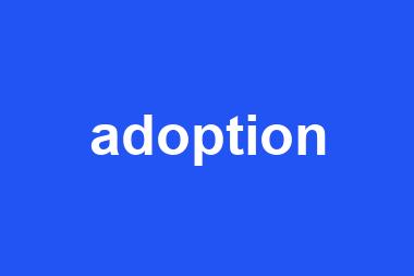 adoption