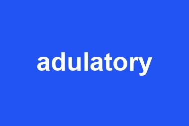 adulatory