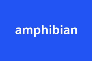 amphibian