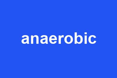 anaerobic