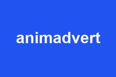 animadvert