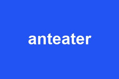 anteater