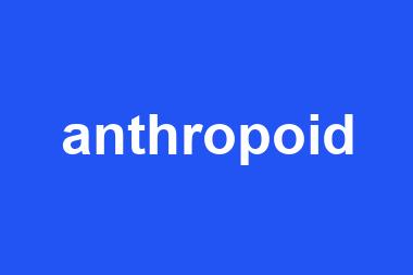 anthropoid