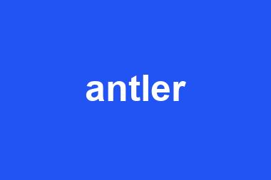 antler