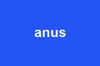 anus