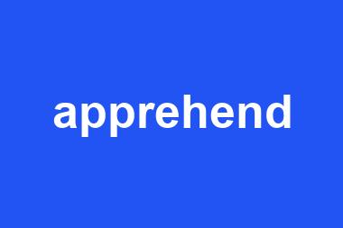 apprehend