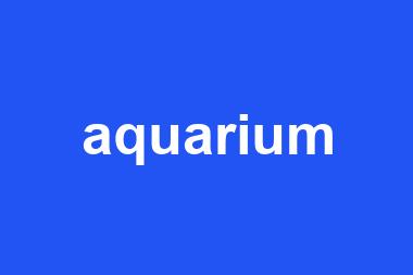 aquarium