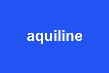 aquiline