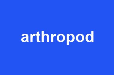 arthropod