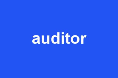 auditor