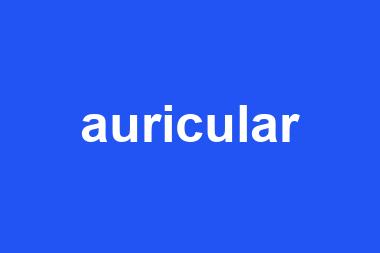 auricular