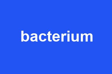 bacterium