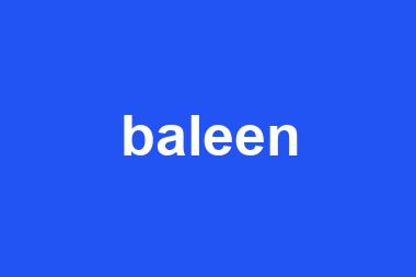 baleen