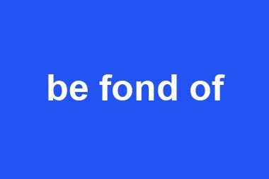 be fond of