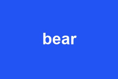 bear