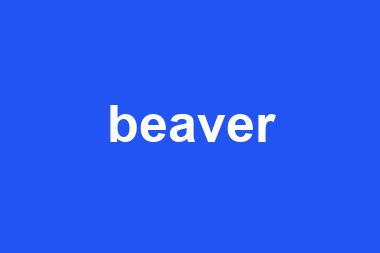 beaver