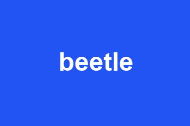 beetle