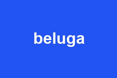 beluga