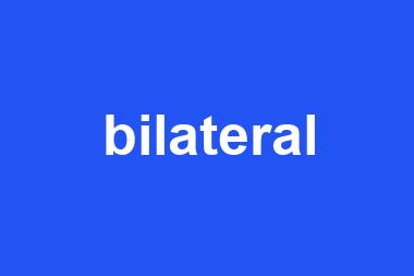 bilateral