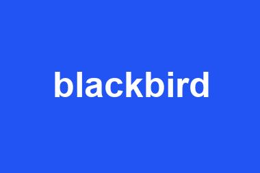 blackbird