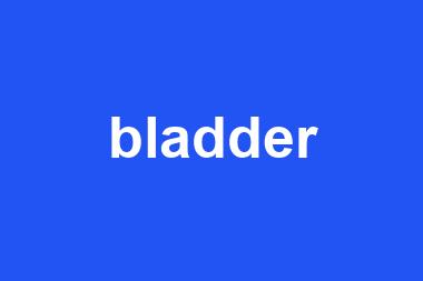 bladder