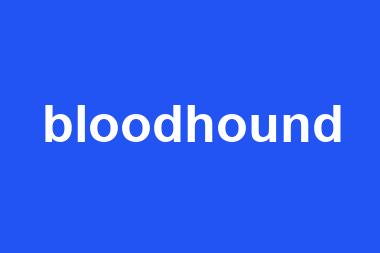 bloodhound