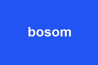 bosom