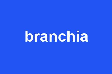 branchia