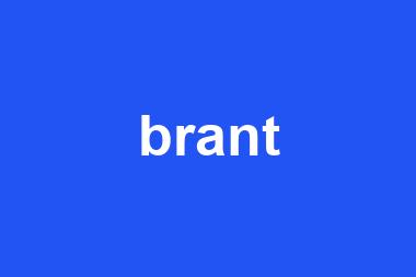 brant