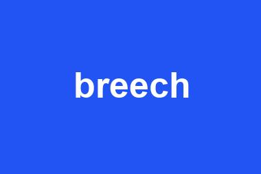 breech