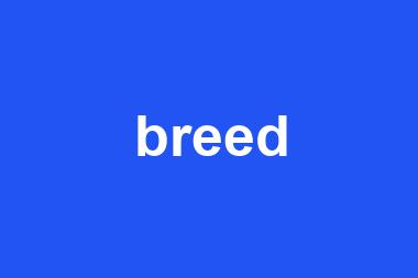 breed