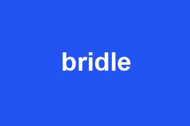 bridle